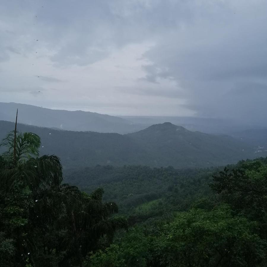 Stone Hills Otel Kannur Dış mekan fotoğraf
